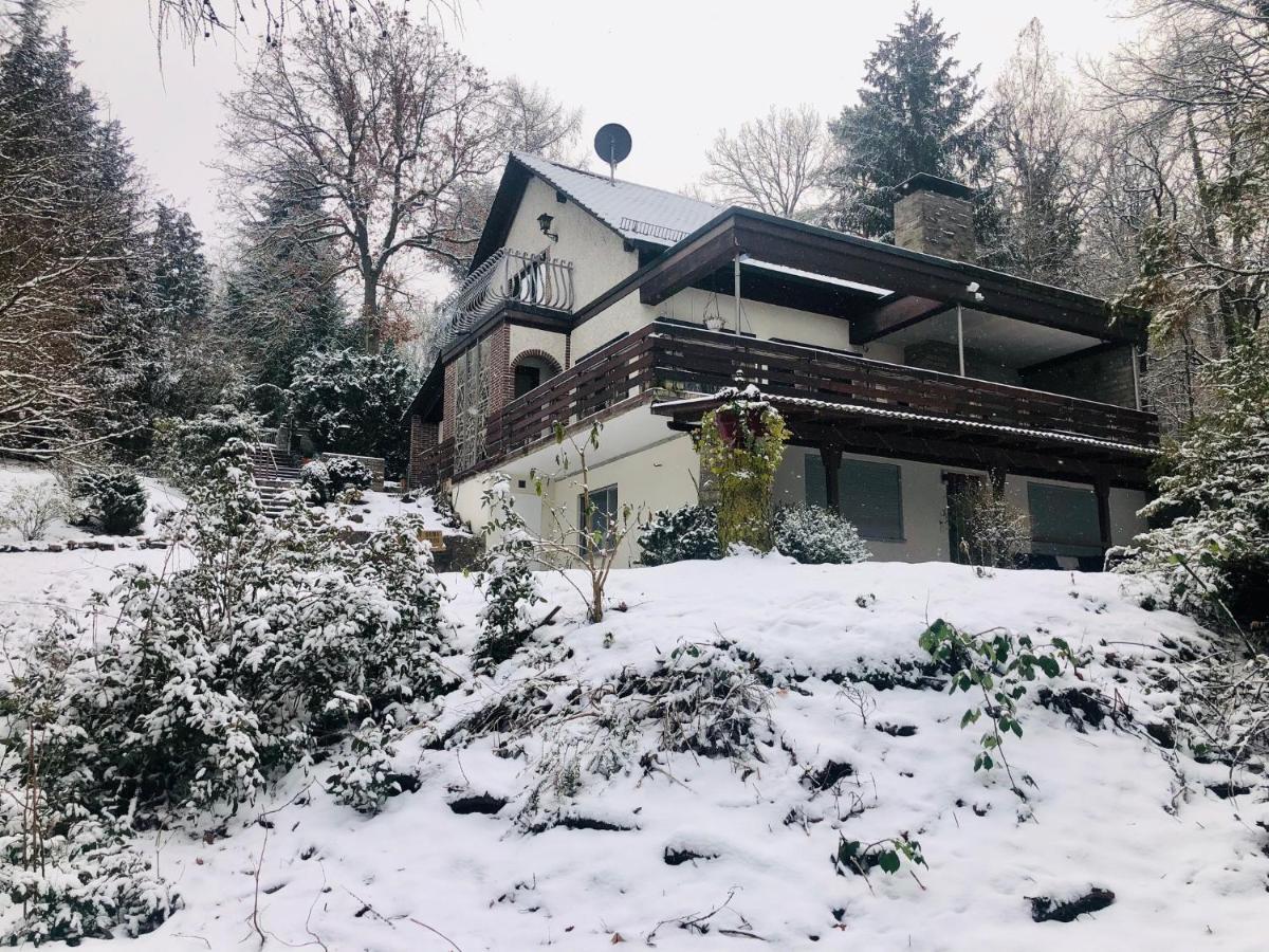 Large Wuerzburg Apartment מראה חיצוני תמונה